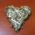 www.3mame.com