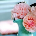 www.weheartit.com