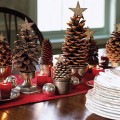 www.homedecoration.dmpcs.com