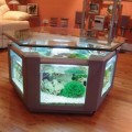www.housetohome.co.uk