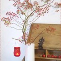 www.createhdesign.wordpress.com