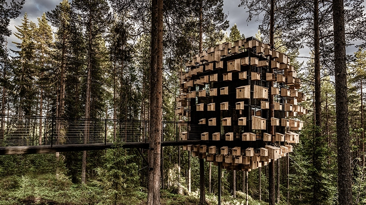Treehotel13